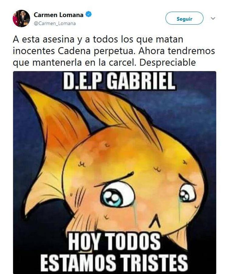 Carmen Lomana. La estrella de la televisión se dirigió a sus seguidores a través de su perfil de Twitter para pedir cadena perpetua a los asesinos: «A esta asesina y a todos los que matan inocentes: cadena perpetua. Ahora tendremos que mantenerla en la cárcel. Despreciable»