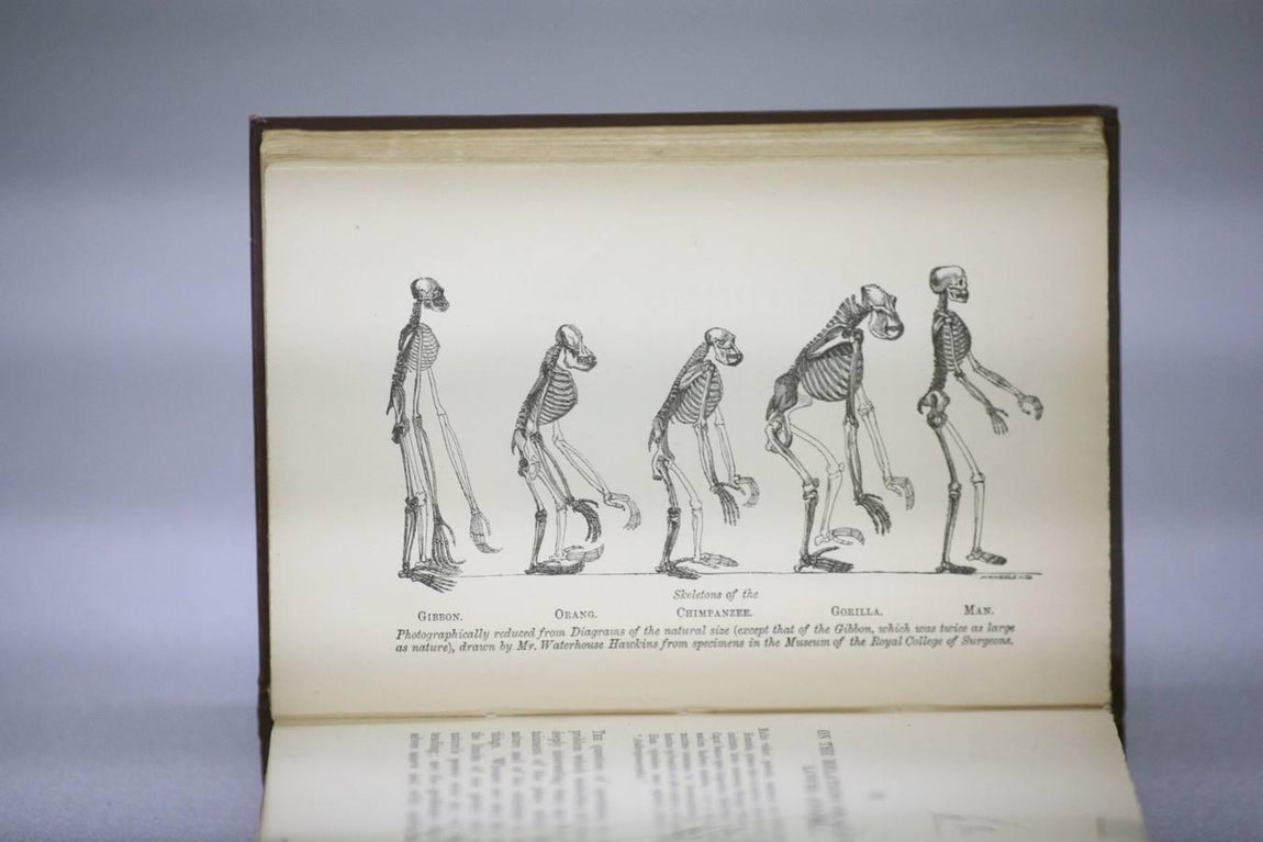 En imágenes, una vuelta a la ciencia en 200 objetos