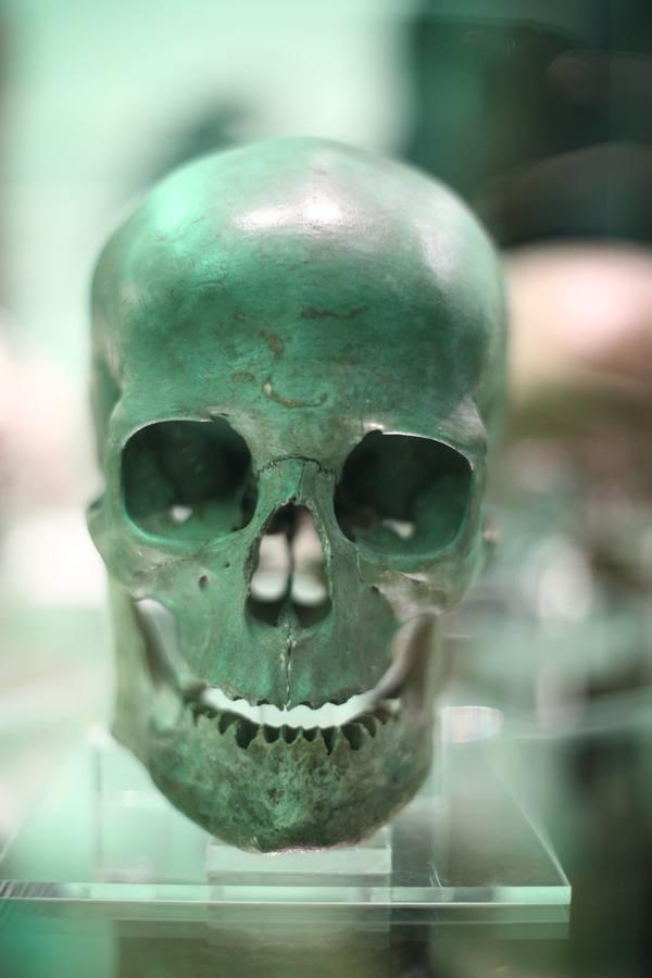 En imágenes, una vuelta a la ciencia en 200 objetos