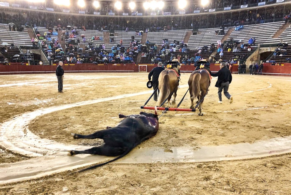 Surco que deja el arrastre del cuarto toro, premiado con la vuelta al ruedo. 