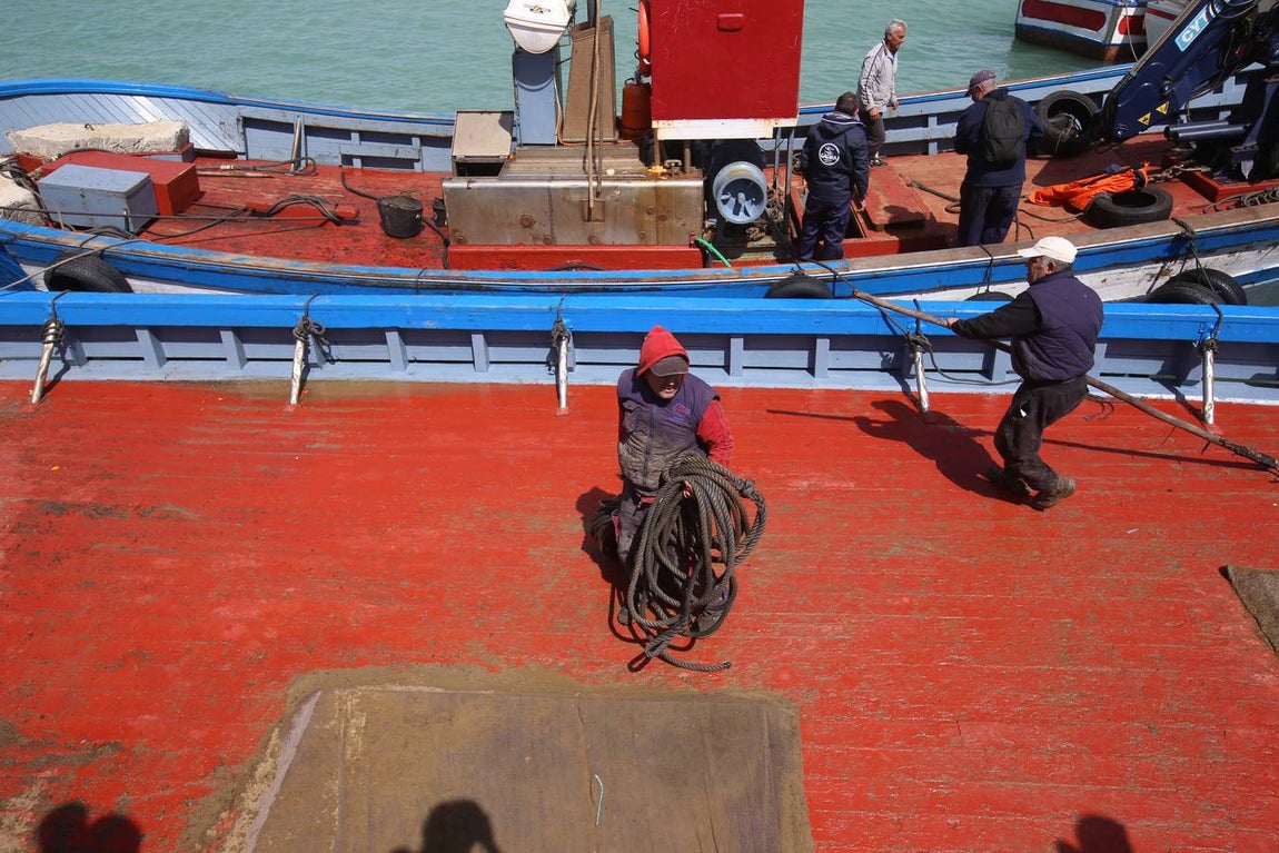 FOTOS: Preparativos en la almadraba de Conil