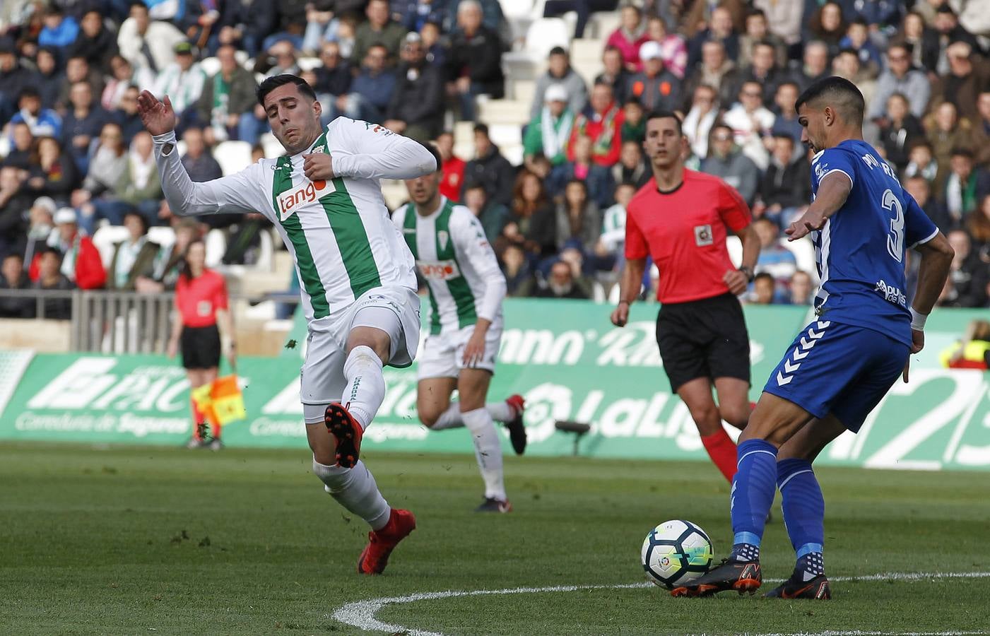 Las mejores imágenes del Córdoba CF-Lorca FC