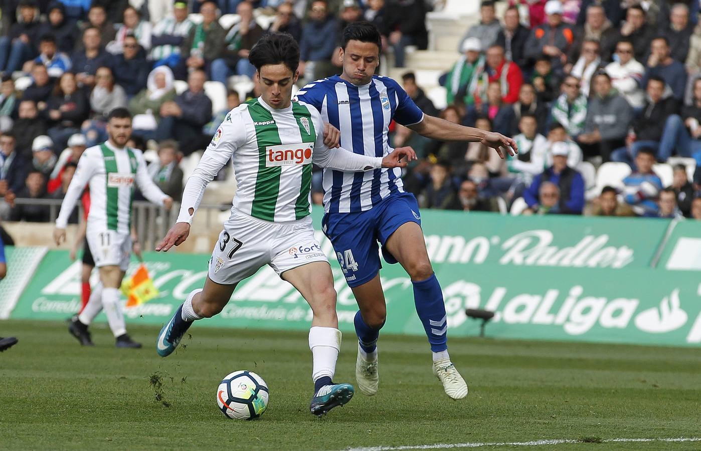 Las mejores imágenes del Córdoba CF-Lorca FC