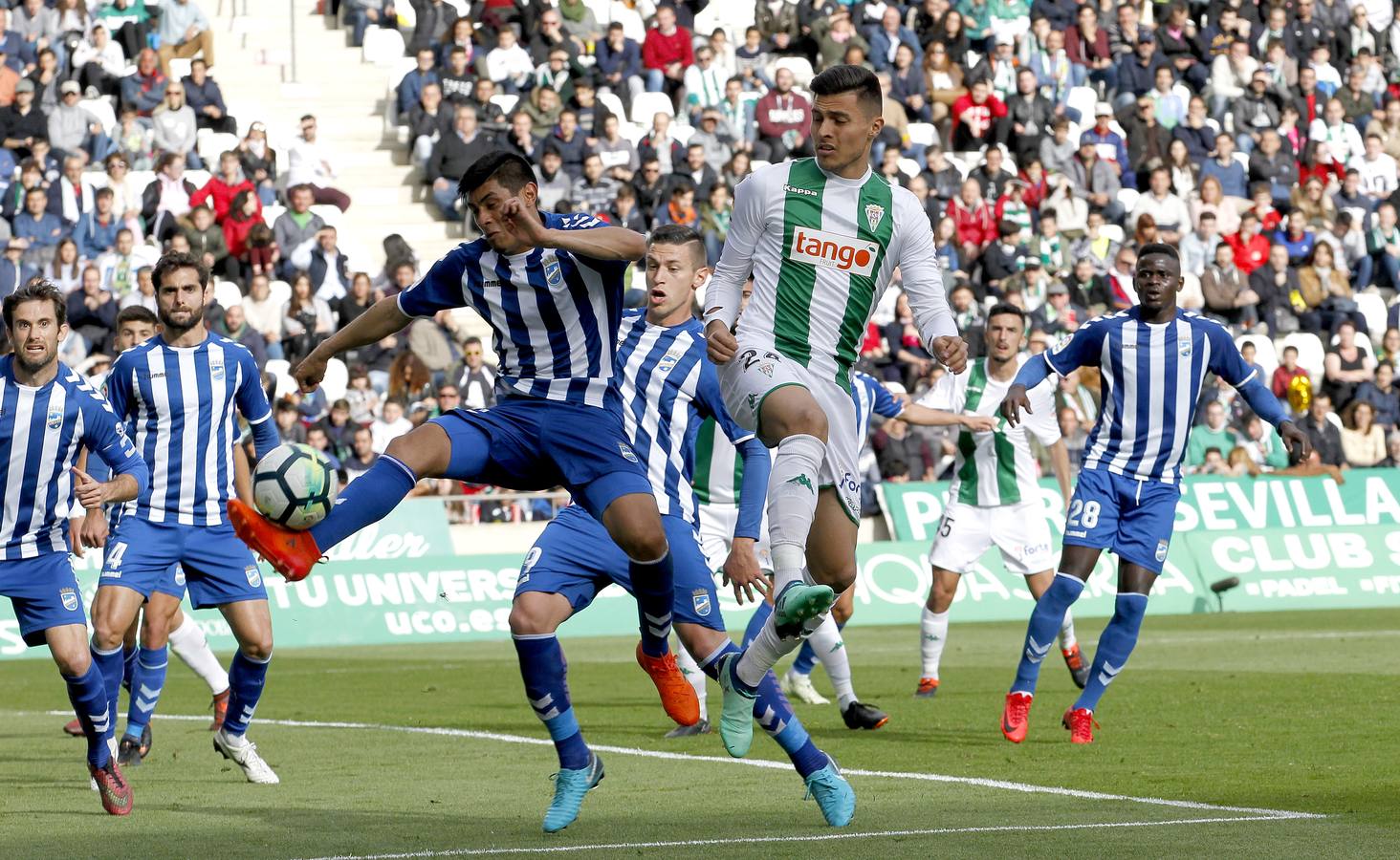 Las mejores imágenes del Córdoba CF-Lorca FC