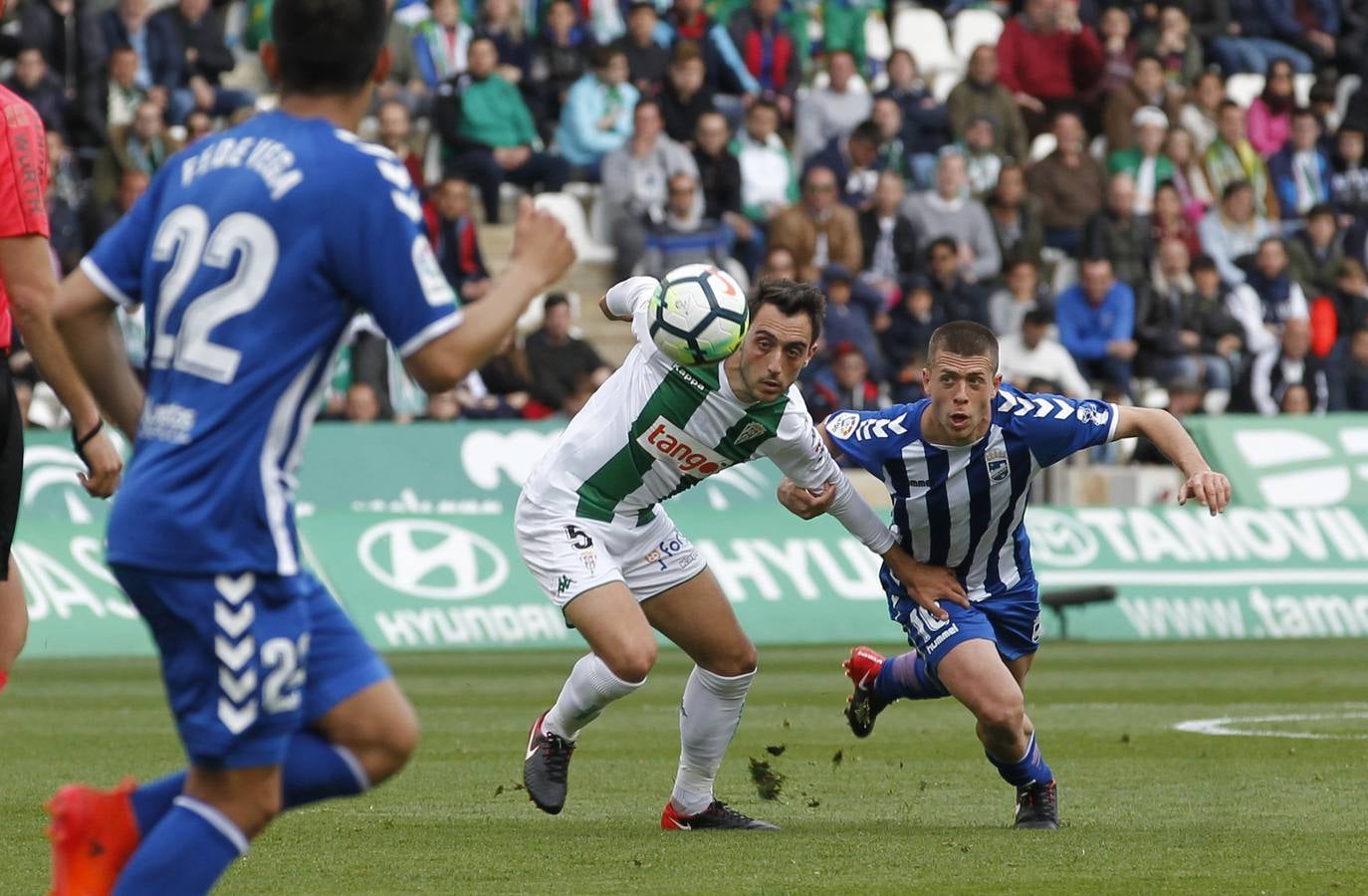 Las mejores imágenes del Córdoba CF-Lorca FC