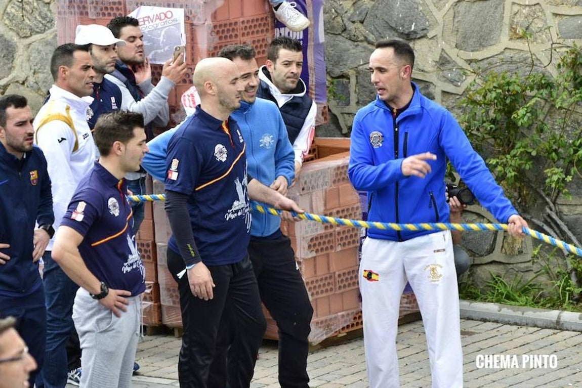 El toro «enmaromado», en imágenes