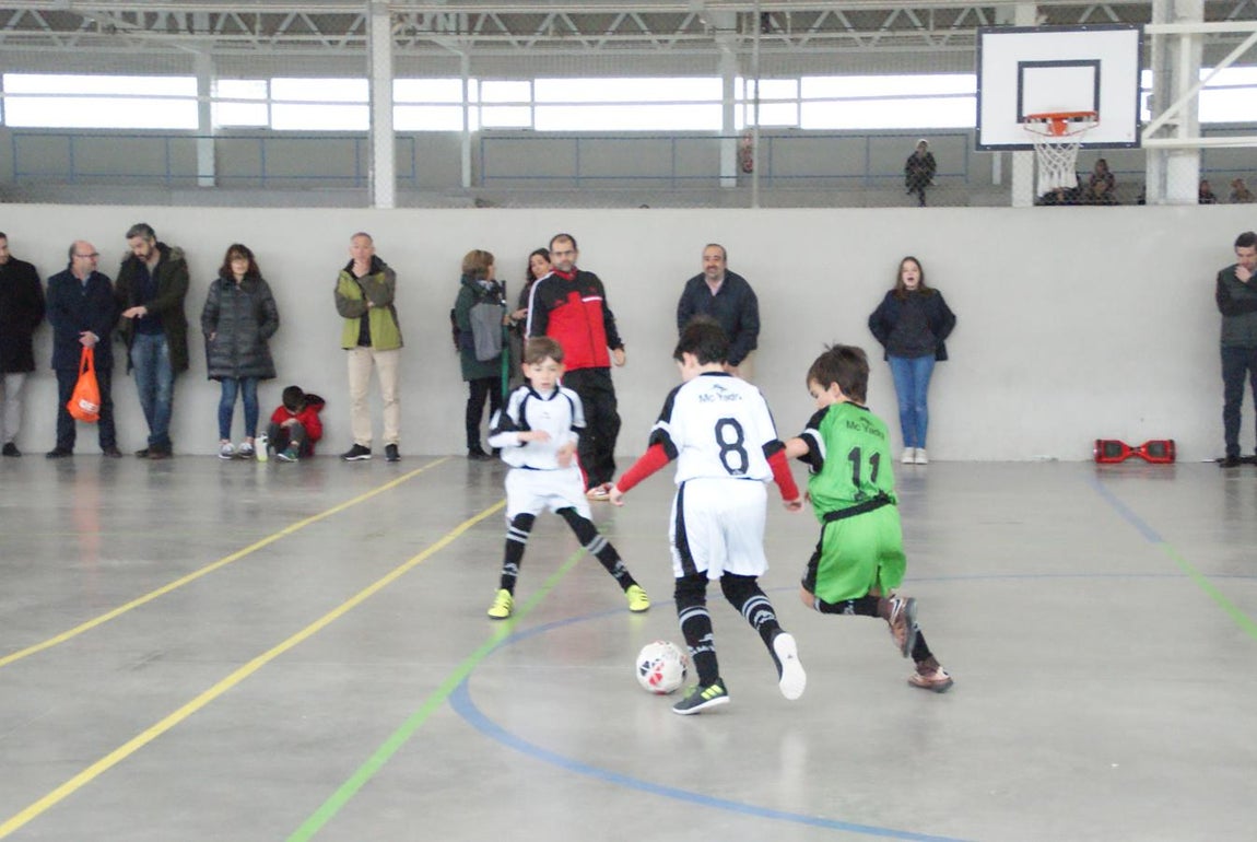 Las mejores imágenes del partido de fútsal benjamín mixto entre Fray Luis de León &quot;B&quot; y Jesús María &quot;C&quot;