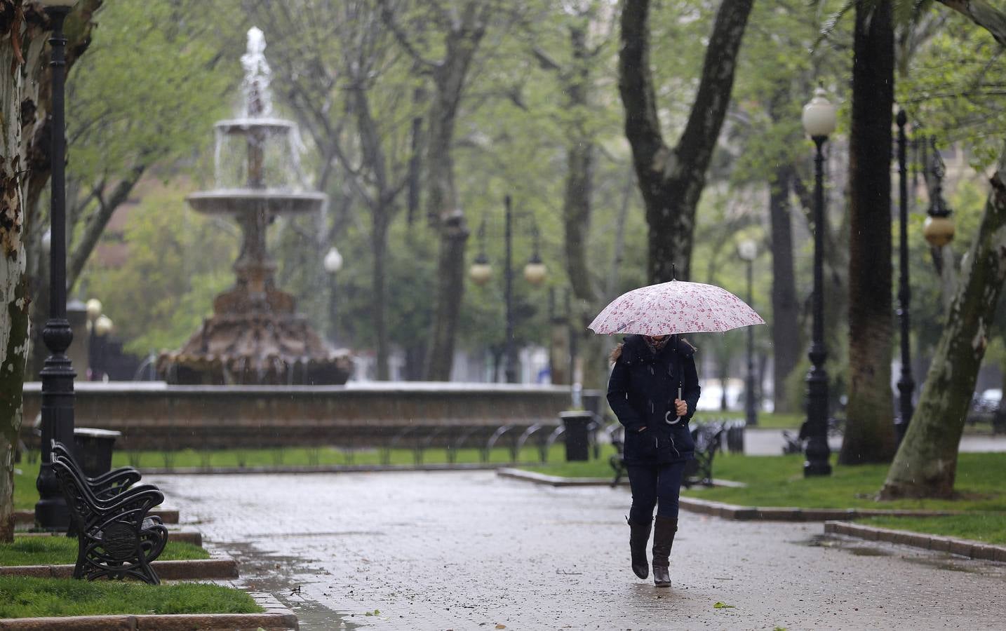 La primavera florece en Córdoba entre la lluvia, en imágenes