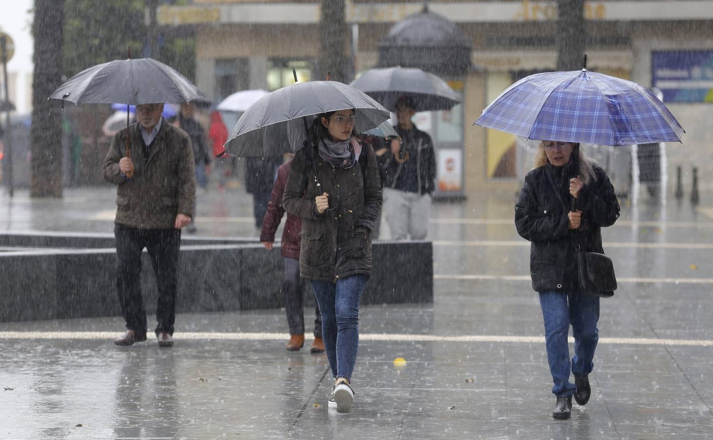 La primavera florece en Córdoba entre la lluvia, en imágenes