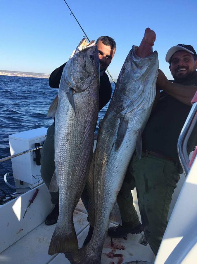 FOTOS: Las impresionantes capturas de un pescador de récord