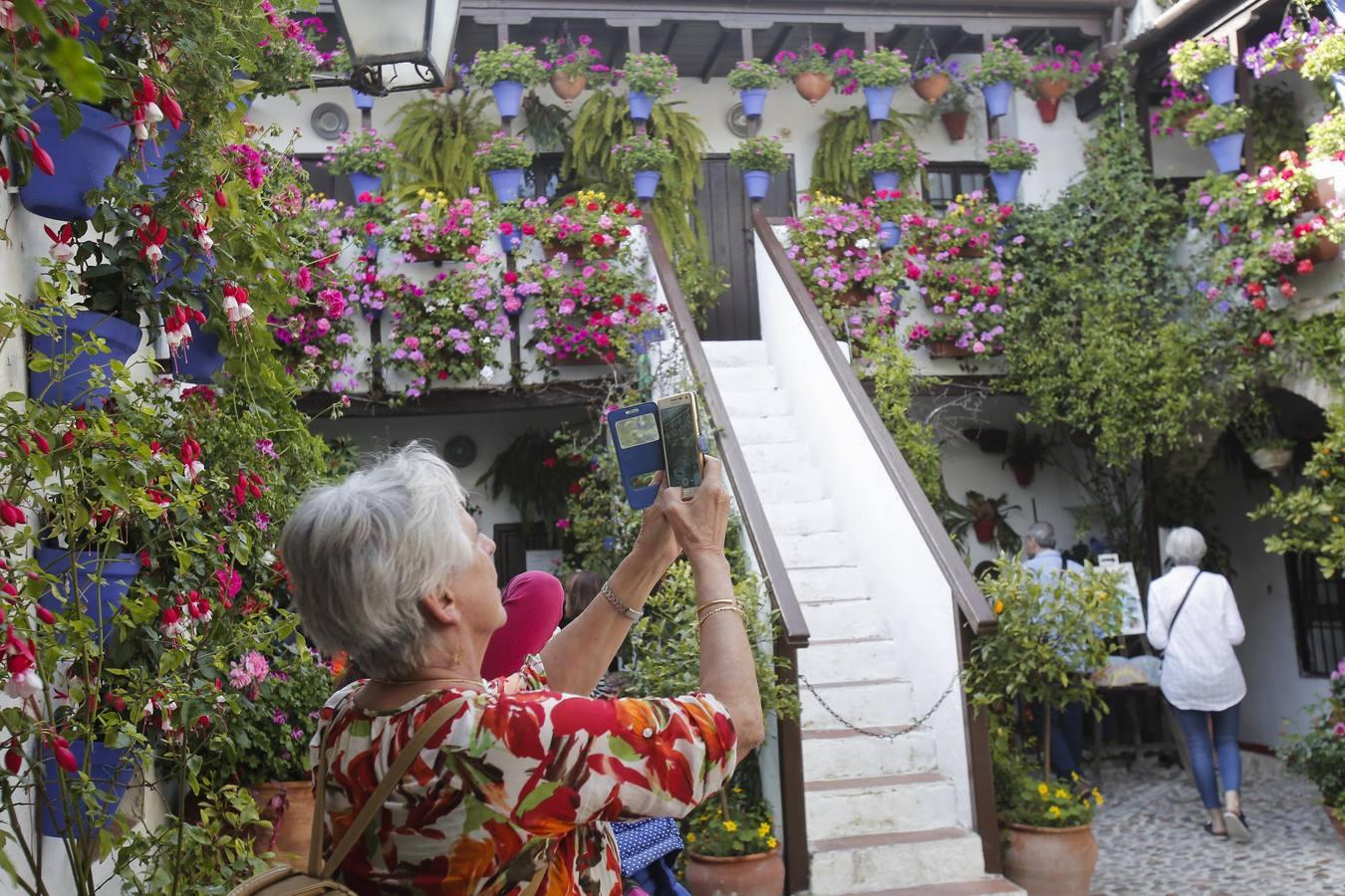 Los Patios de Córdoba ultiman detalles, en imágenes