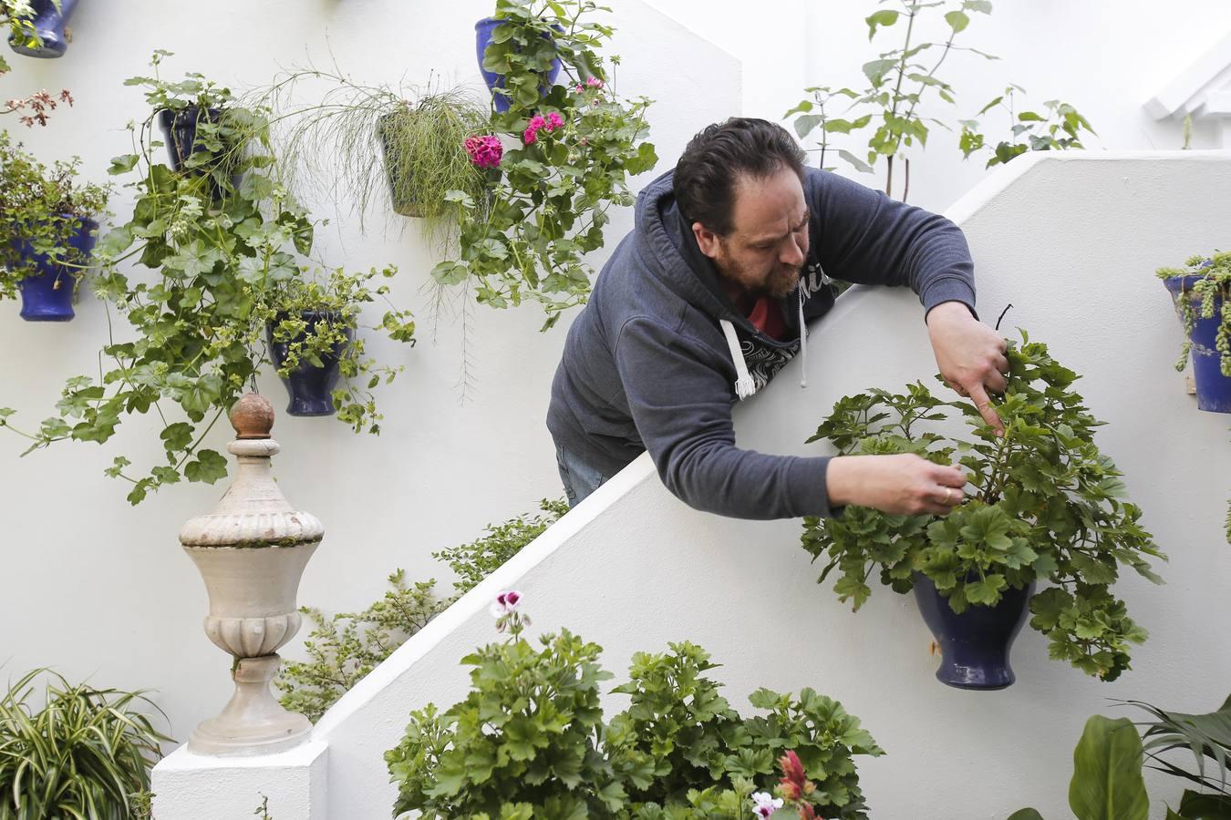 Los Patios de Córdoba ultiman detalles, en imágenes