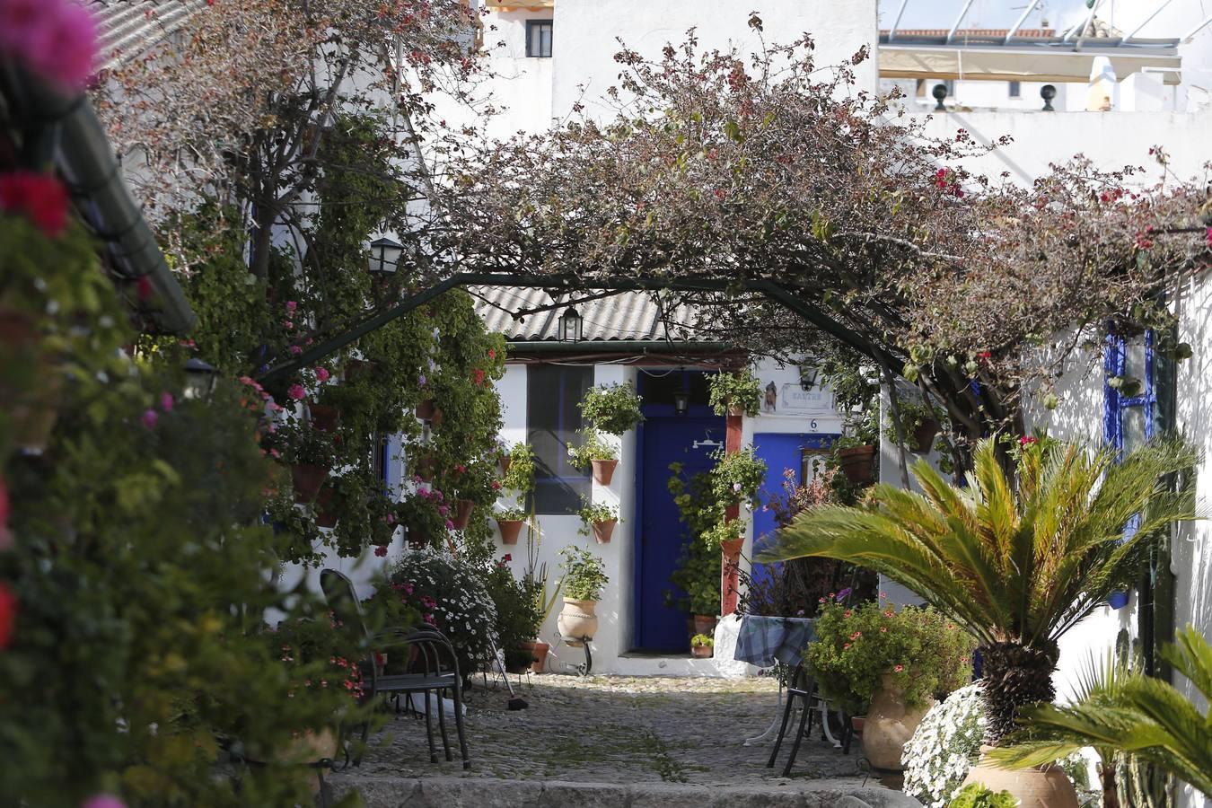 Los Patios de Córdoba ultiman detalles, en imágenes