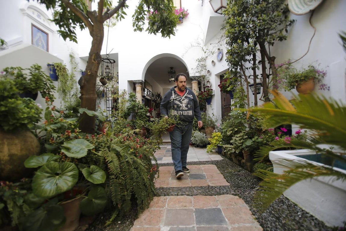 Los Patios de Córdoba ultiman detalles, en imágenes