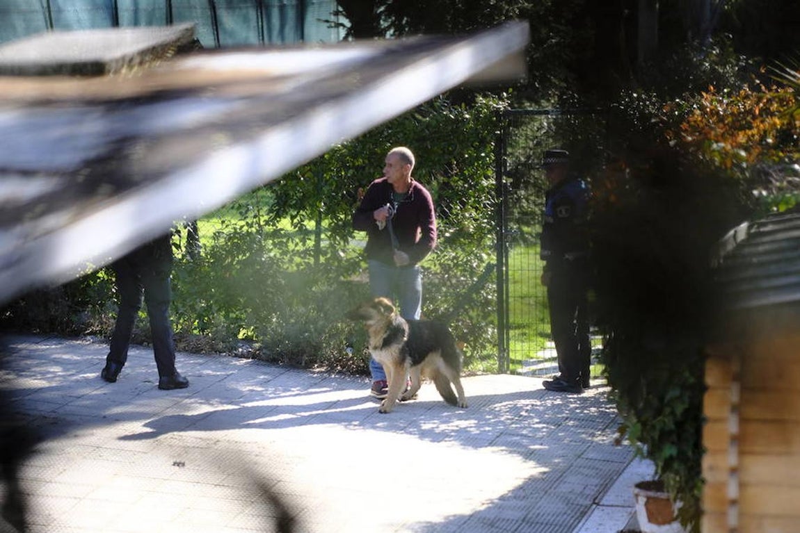 Los cuatro perros frustaron el primer intento de desahucio la pasada semana. Este martes acudió un trabajador de la perrera municipal para hacerse cargo de ellos. 