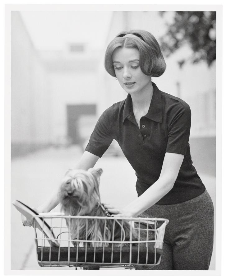 Espontánea. En la imagen se ve una despistada Audrey Hepburn inmortalizada por el objetivo implacable de Sid Avery mientras transportaba a uno de los perros que participaron en el rodaje de Ariane en diciembre de 1956. Avery fue un prestigioso fotógrafo norteamericano que capturó escenas de la vida íntima de estrellas de la talla de Marlon Brando, James Dean, Humphfrey Bogart, Elizabeth Taylor y Rock Hudson.