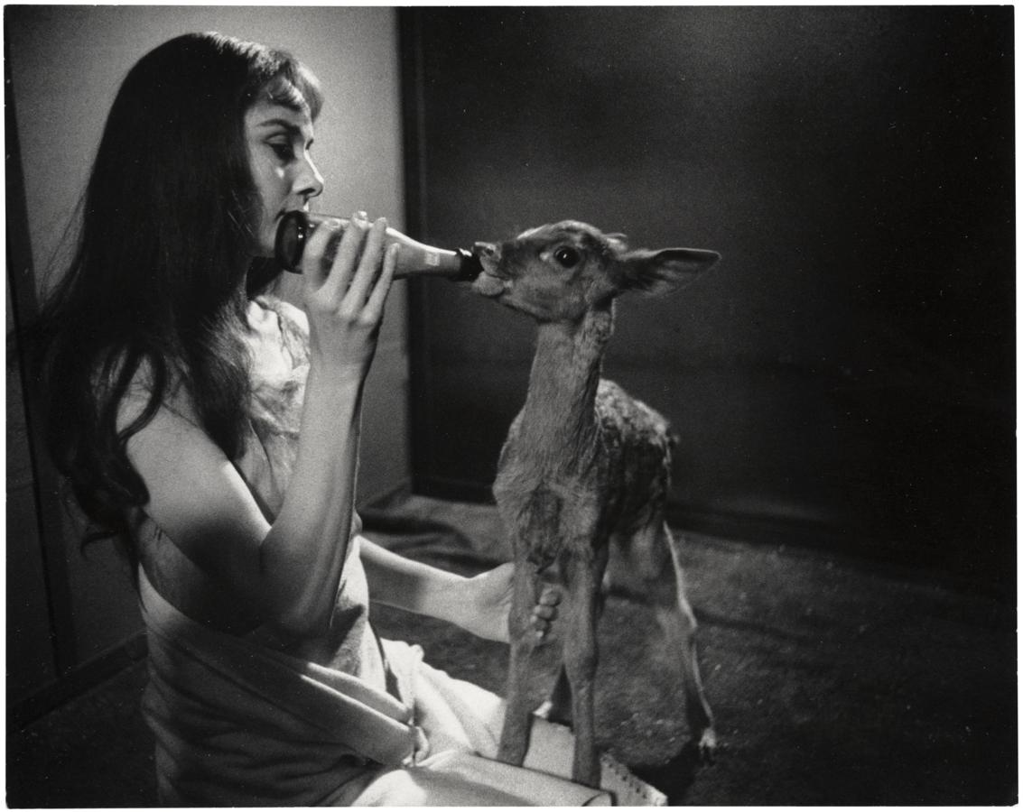 A la venta las fotos más conmovedoras de Audrey Hepburn