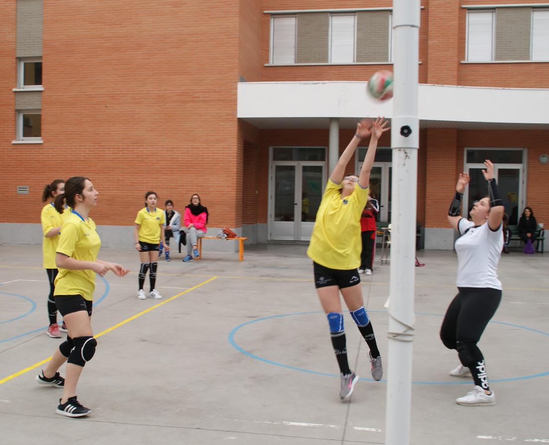 Las mejores imágenes del partido de voleibol infantil femenino entre Nuestra Señora del Carmen y Decroly