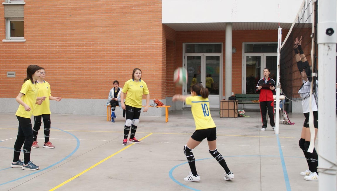 Las mejores imágenes del partido de voleibol infantil femenino entre Nuestra Señora del Carmen y Decroly
