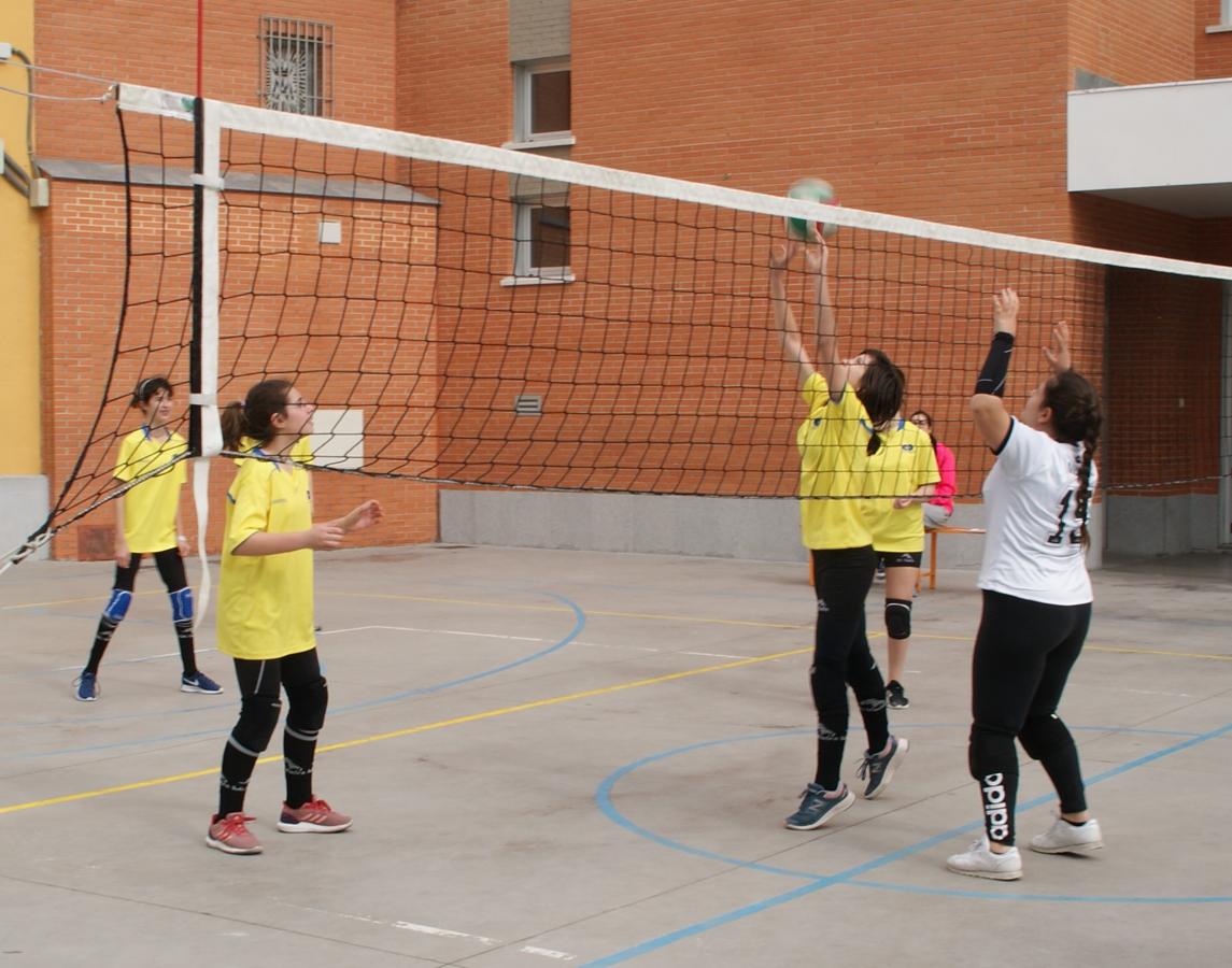 Las mejores imágenes del partido de voleibol infantil femenino entre Nuestra Señora del Carmen y Decroly