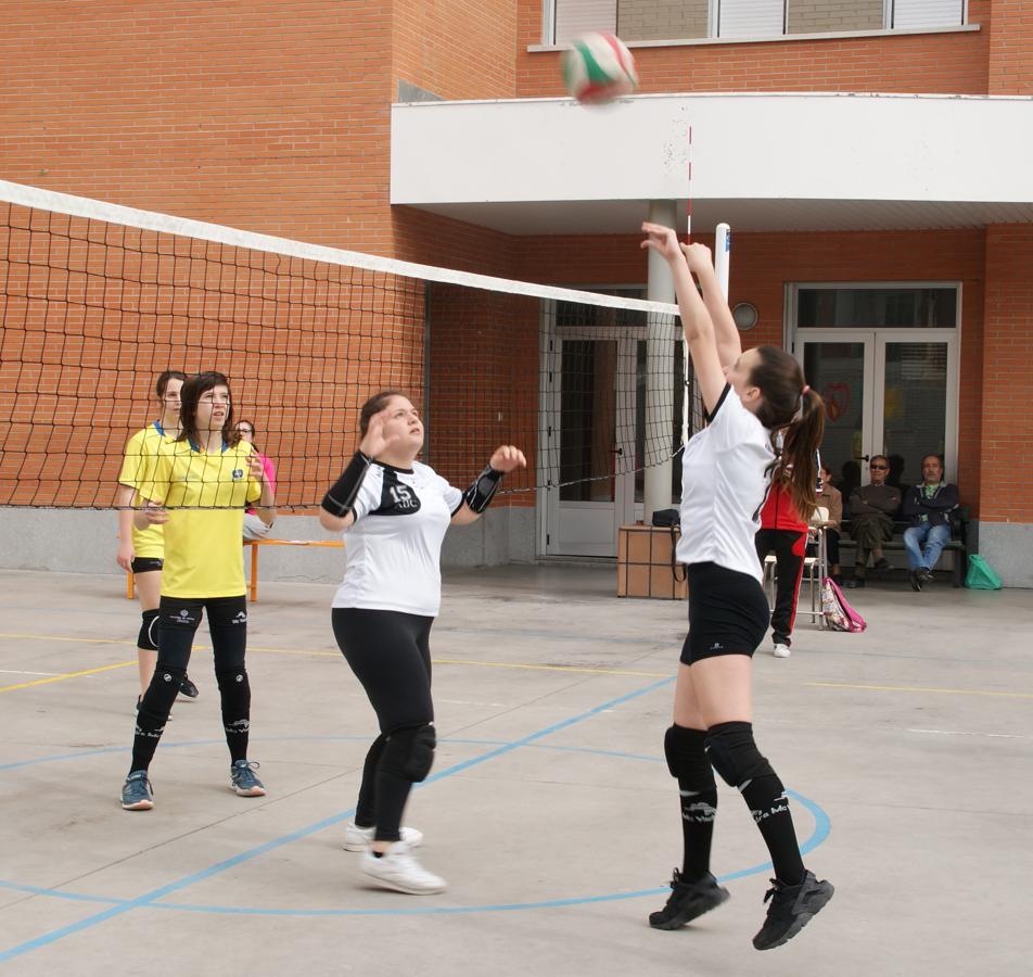 Las mejores imágenes del partido de voleibol infantil femenino entre Nuestra Señora del Carmen y Decroly