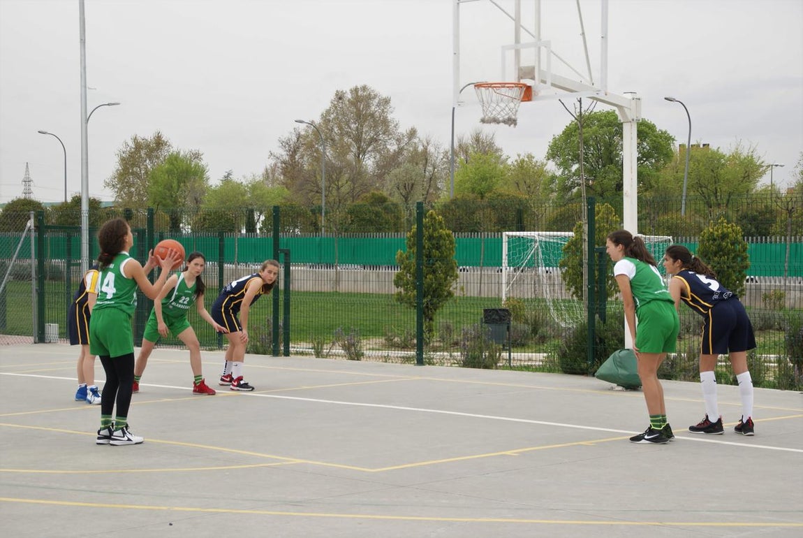 Las mejores imágenes del partido de baloncesto infantil femenino entre San Juan Evangelista y BVM Irlandesas