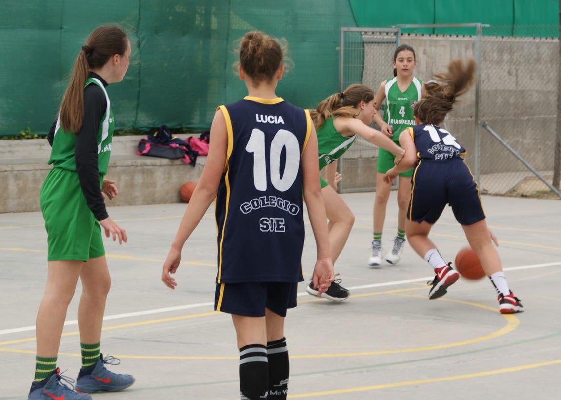 Las mejores imágenes del partido de baloncesto infantil femenino entre San Juan Evangelista y BVM Irlandesas