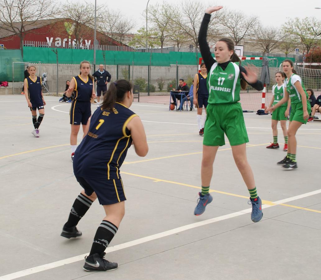 Las mejores imágenes del partido de baloncesto infantil femenino entre San Juan Evangelista y BVM Irlandesas