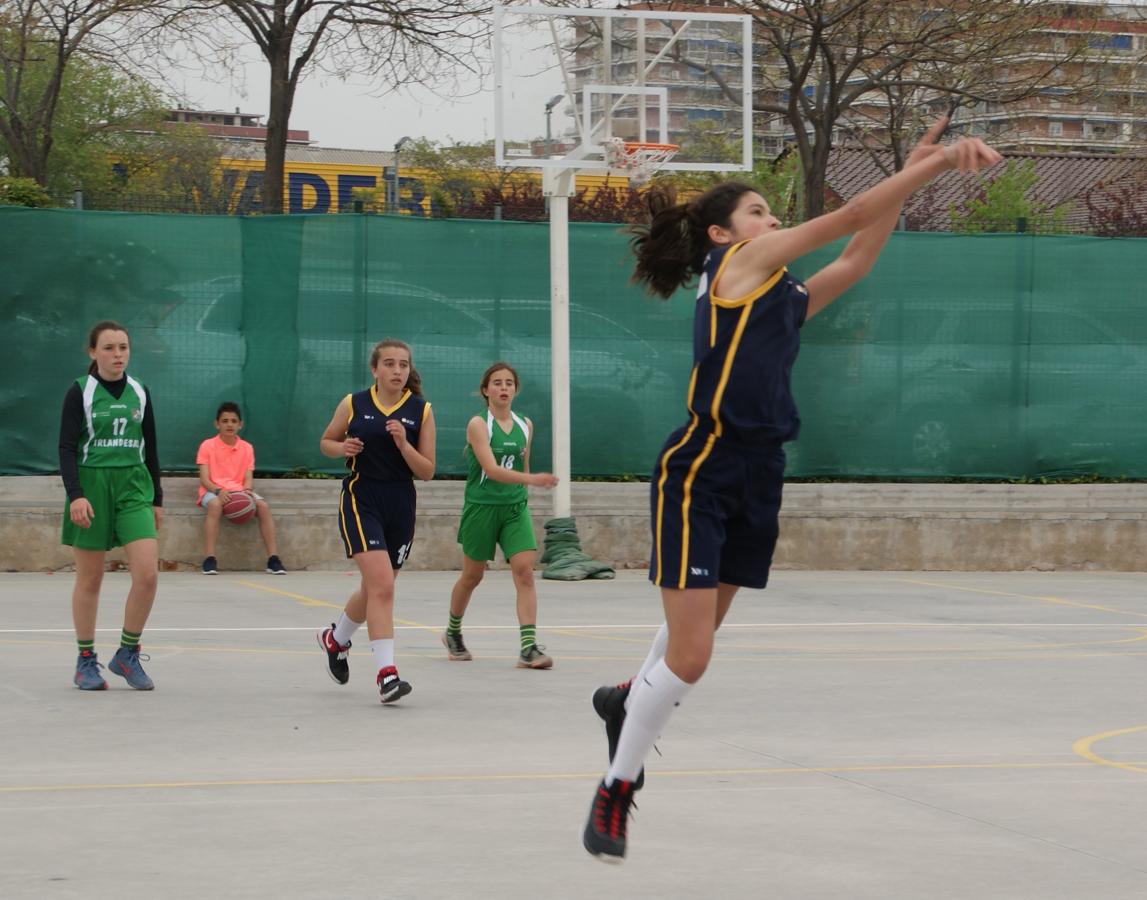 Las mejores imágenes del partido de baloncesto infantil femenino entre San Juan Evangelista y BVM Irlandesas