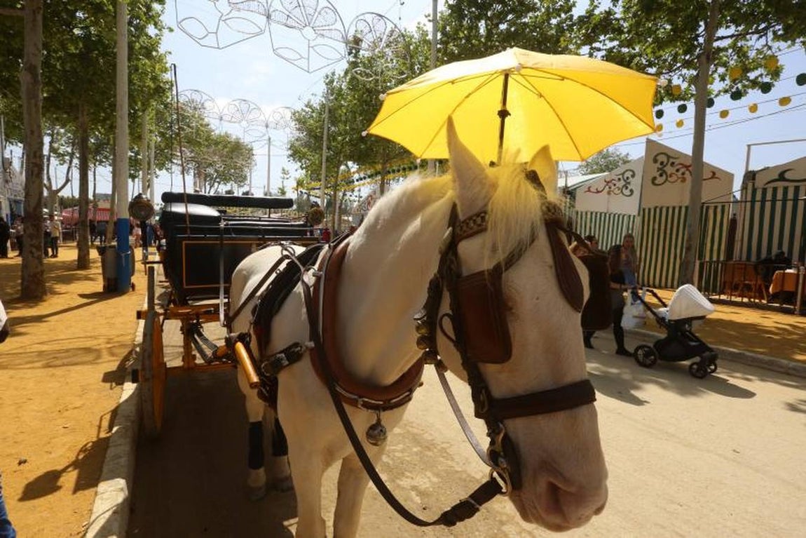 Jueves en la Feria de El Puerto