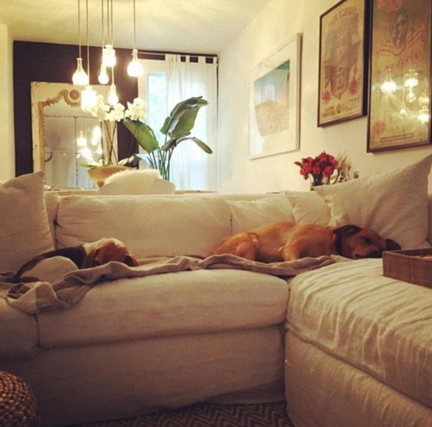 En blanco y crudo. En la época en la que la actriz vivió en la casa, ésta estaba decorada con algunos muebles de estilo nórdico. Los colores predominantes eran el blanco y los tonos crudos. No se trataba de una vivienda diáfana precisamente,  cuadros y adornos la decoraban de suelo a techo