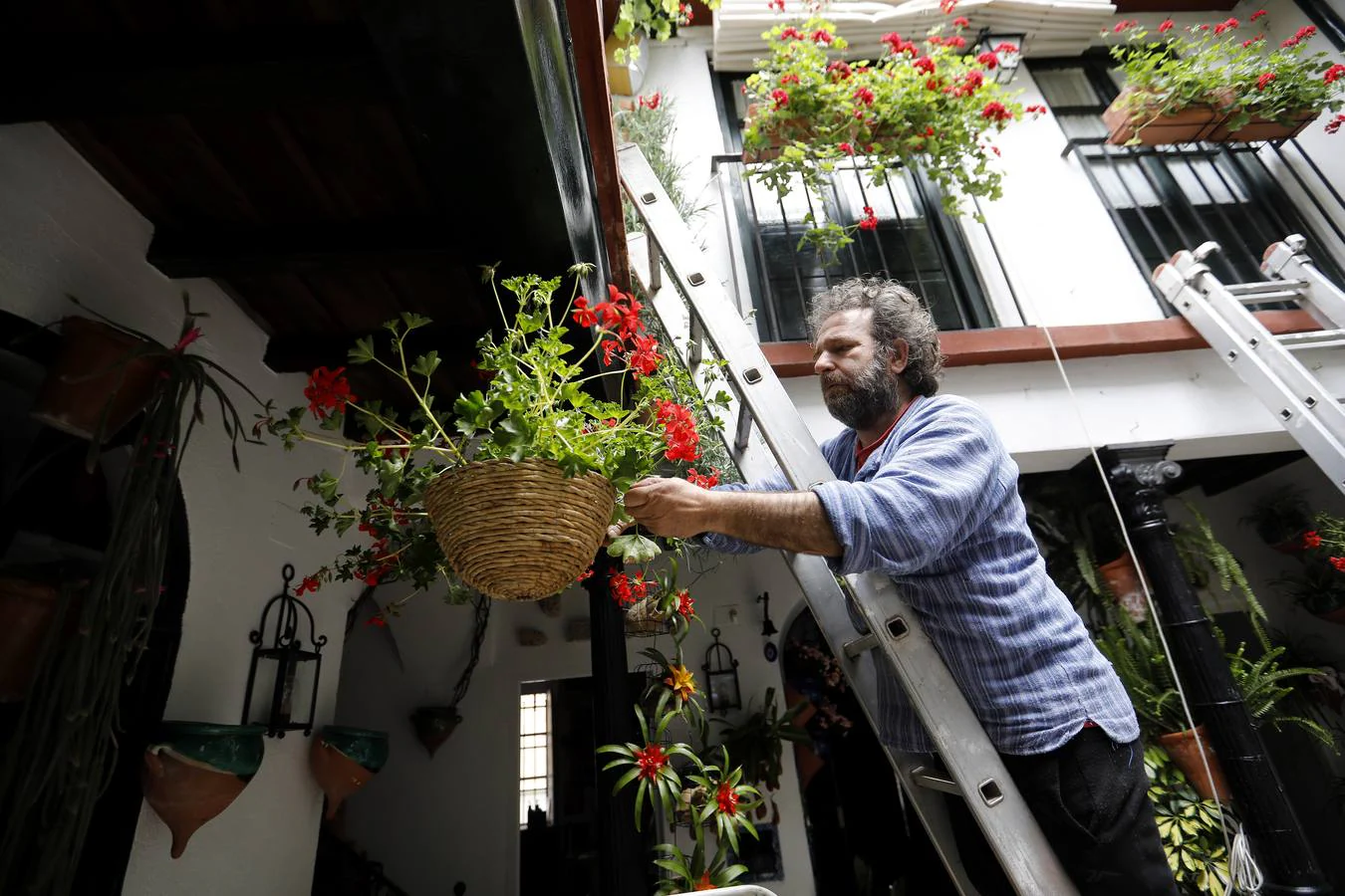 Los preparativos de la Fiesta de los Patios de Córdoba, en imágenes