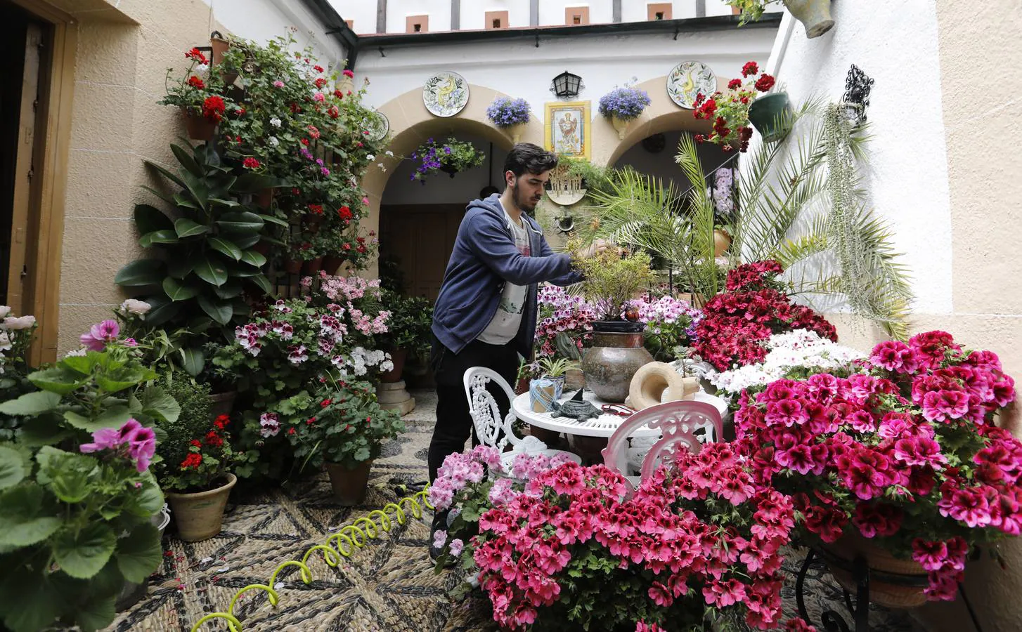 Los preparativos de la Fiesta de los Patios de Córdoba, en imágenes