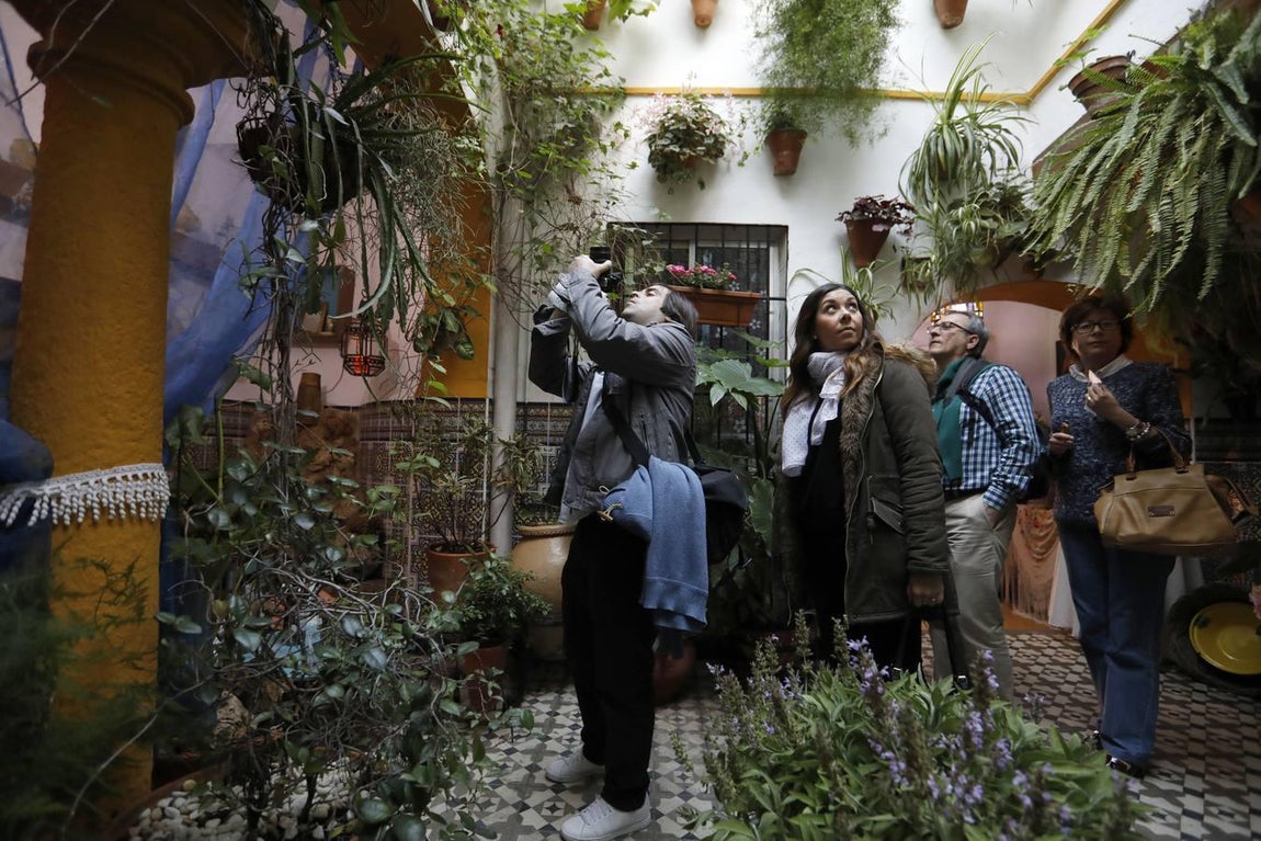 Los patios de Santiago y San Pedro de Córdoba, en imágenes