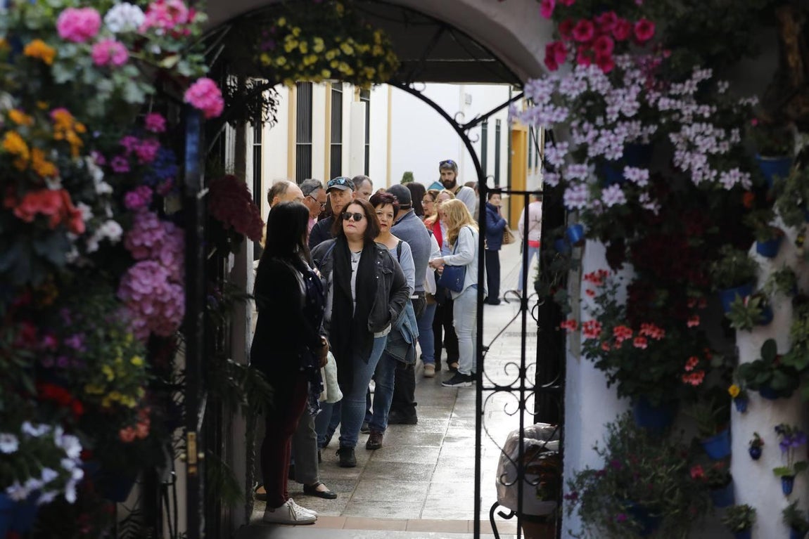 Los patios de Santiago y San Pedro de Córdoba, en imágenes