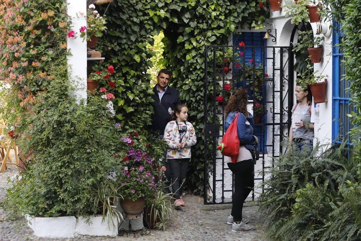 Los patios de Santiago y San Pedro de Córdoba, en imágenes