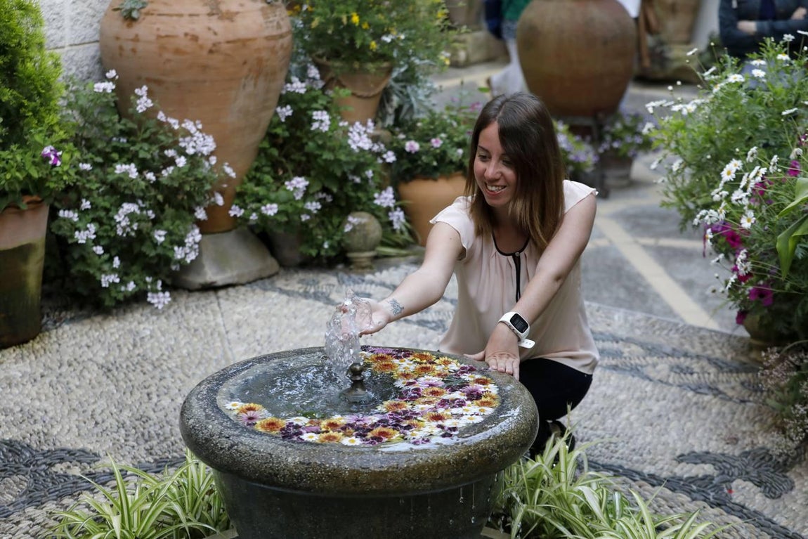Los patios de Santiago y San Pedro de Córdoba, en imágenes