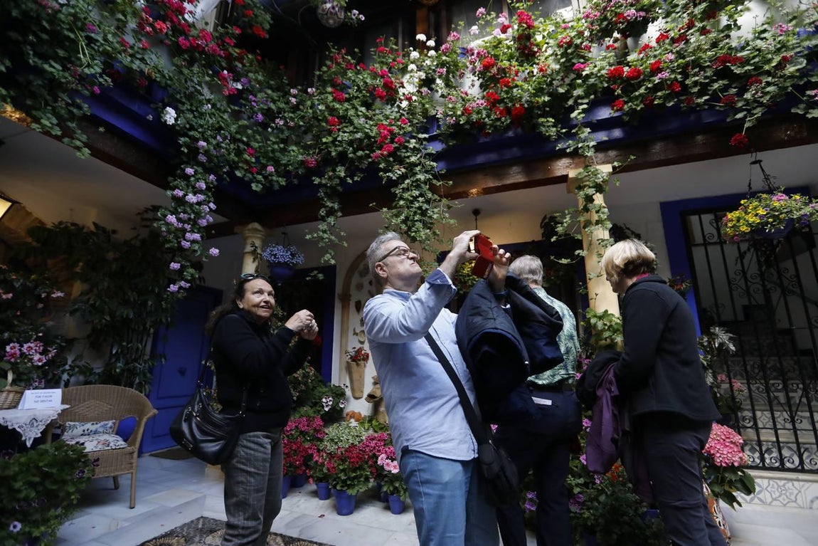 Los patios de Santiago y San Pedro de Córdoba, en imágenes
