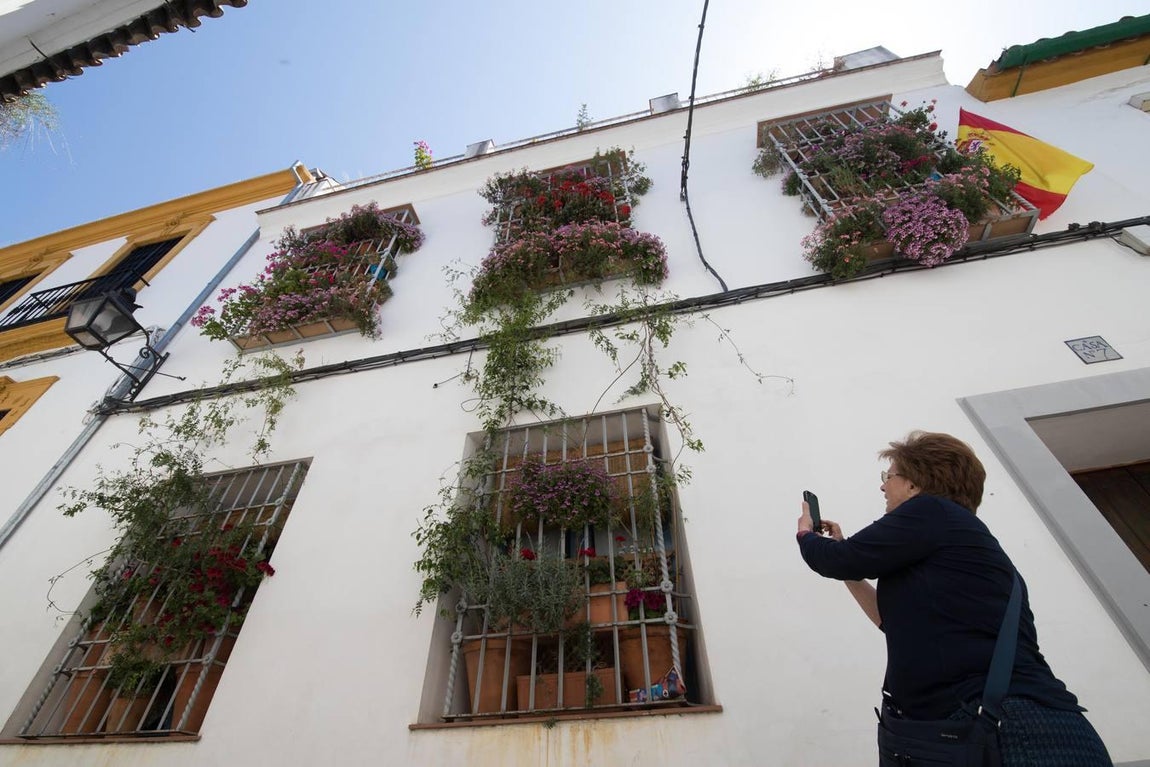 La belleza de las rejas y balcones de Córdoba en mayo, en imágenes