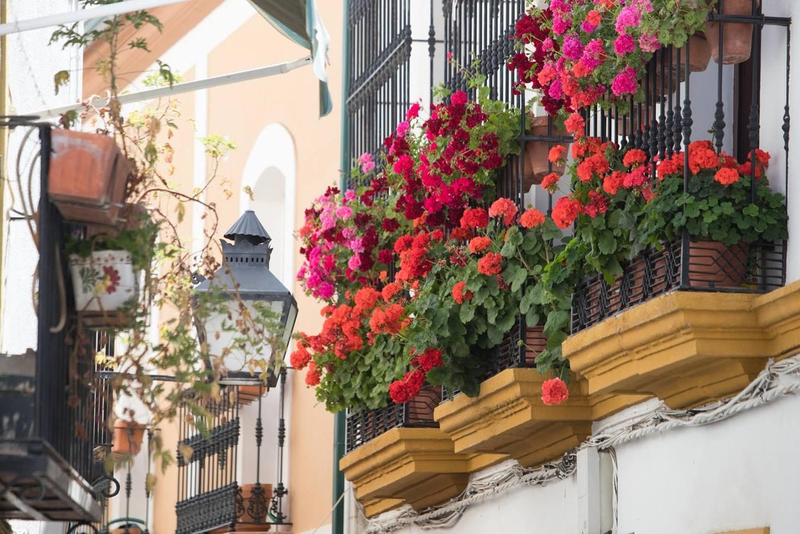 La belleza de las rejas y balcones de Córdoba en mayo, en imágenes