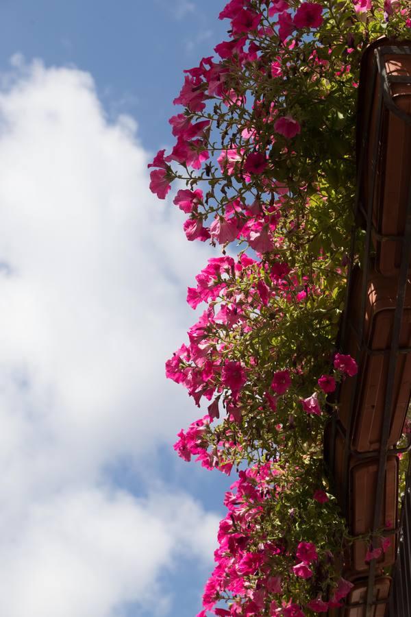 La belleza de las rejas y balcones de Córdoba en mayo, en imágenes