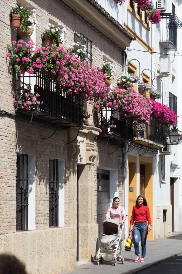 La belleza de las rejas y balcones de Córdoba en mayo, en imágenes