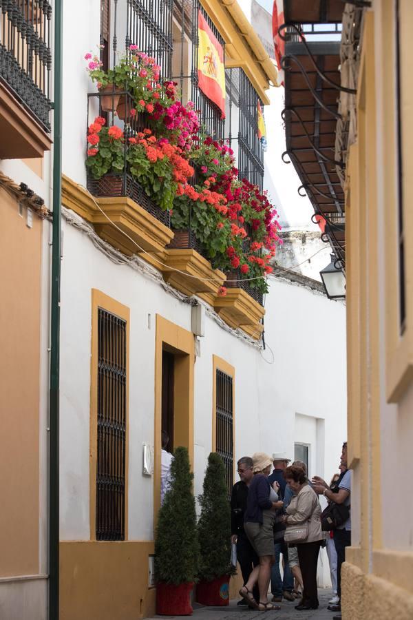 La belleza de las rejas y balcones de Córdoba en mayo, en imágenes
