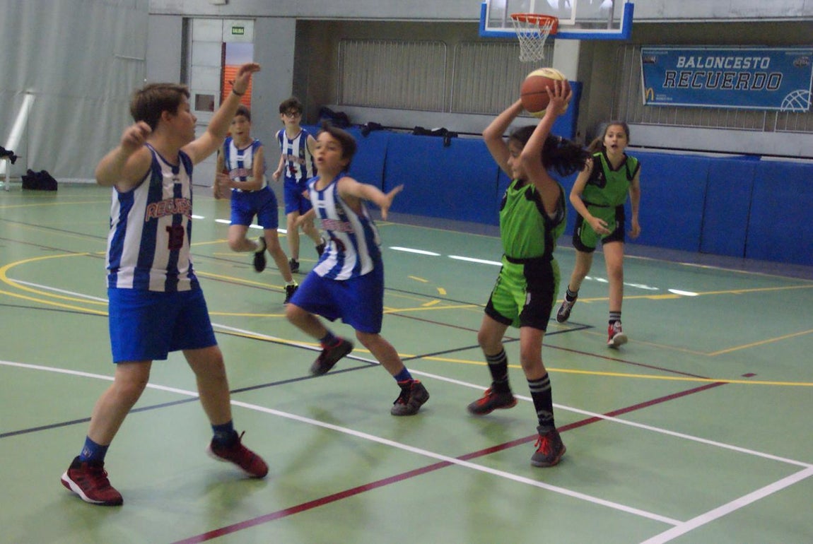 Las mejores imágenes del partido de baloncesto alevín masculino entre Ntra. Sra. Recuerdo y Sagrada Familia Jorge Juan