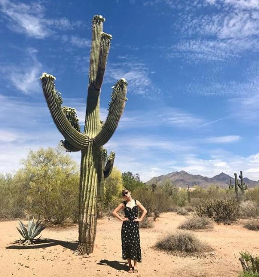 Taylor Swift arranca nueva gira, y lo anuncia con esta divertida imagen. 