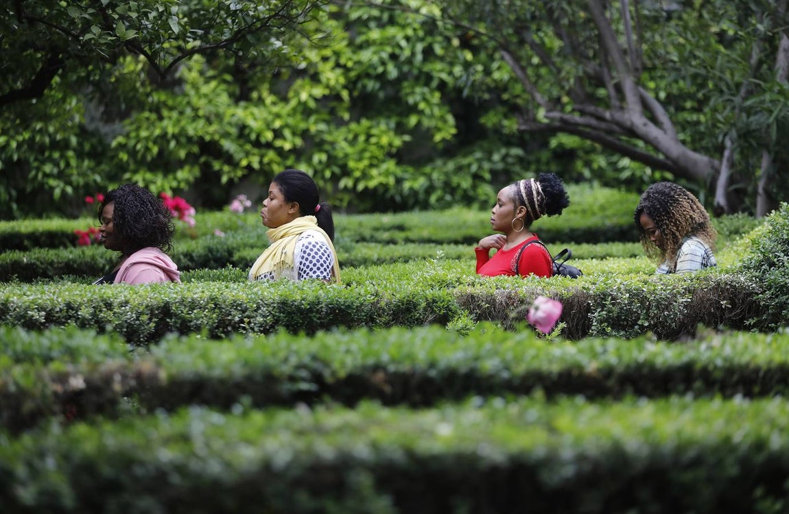 Los patios del Palacio de Viana de Córdoba, en imágenes