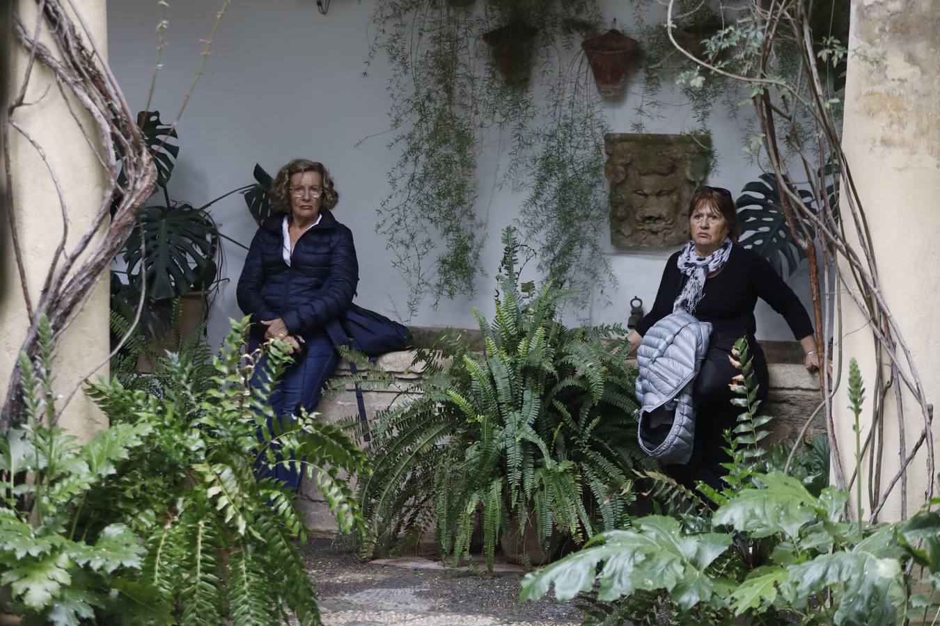 Los patios del Palacio de Viana de Córdoba, en imágenes