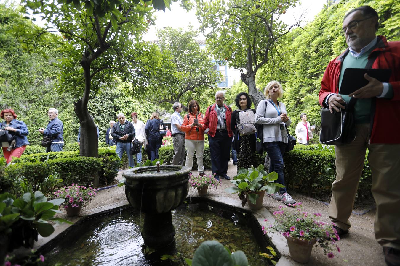 Los patios del Palacio de Viana de Córdoba, en imágenes