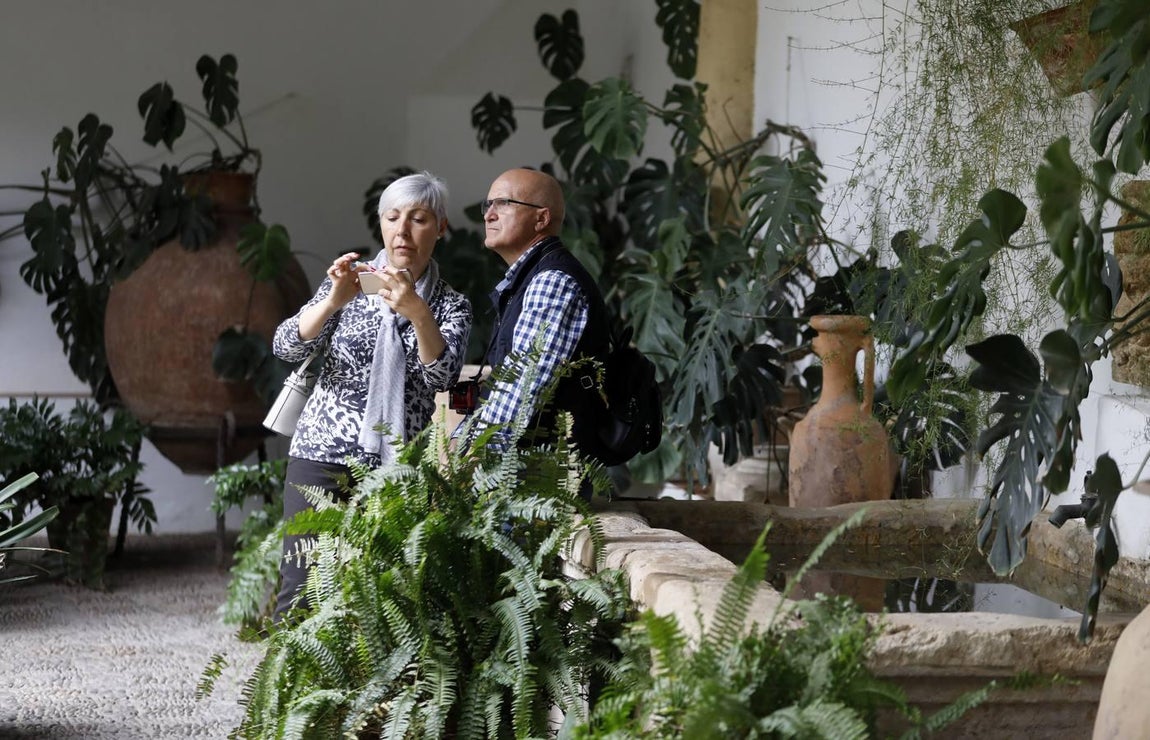 Los patios del Palacio de Viana de Córdoba, en imágenes