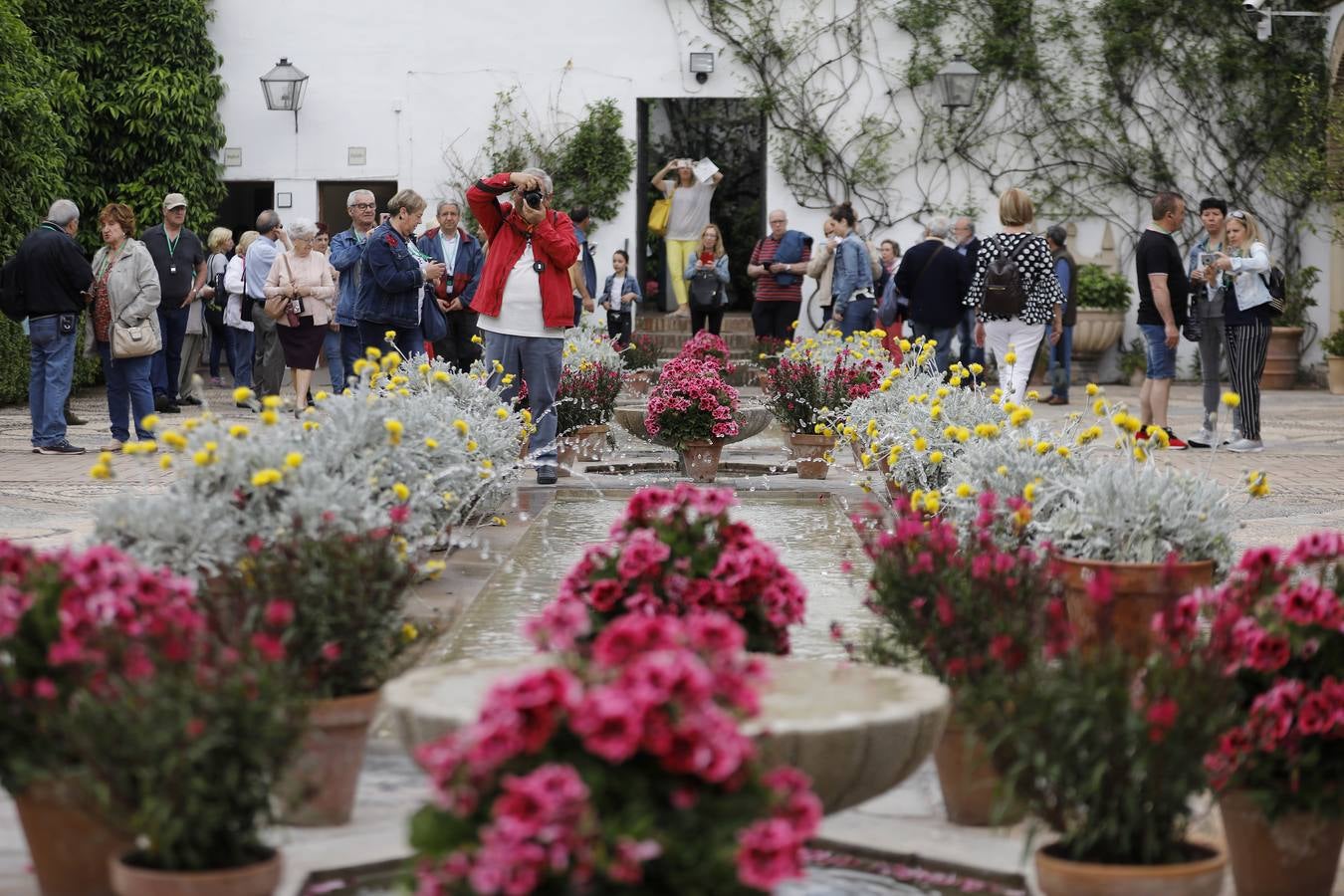 Los patios del Palacio de Viana de Córdoba, en imágenes